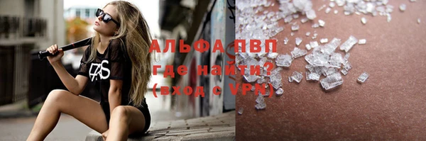 прущие грибы Богородицк