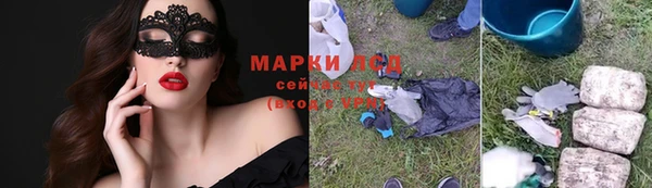прущие грибы Богородицк