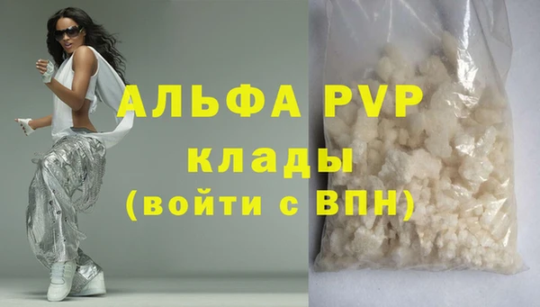 прущие грибы Богородицк