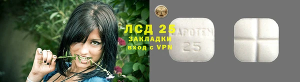 прущие грибы Богородицк