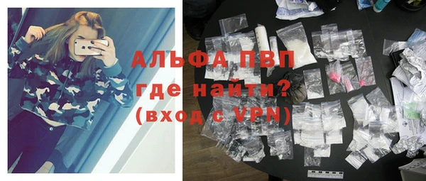 прущие грибы Богородицк