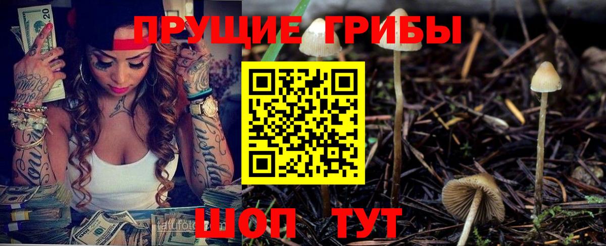Псилоцибиновые грибы MAGIC MUSHROOMS  Вход с VPN  Наро-Фоминск  Псилоцибиновые грибы Cubensis 